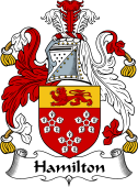 Irish Coat of Arms for Hamilton