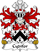Welsh Coat of Arms for Cydifor (AP SELYE -King of Dyfed)