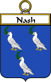 Irish Badge for Nash or Naish