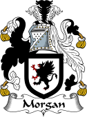 Irish Coat of Arms for Morgan