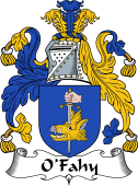 Irish Coat of Arms for O'Fahy