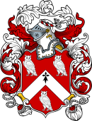 English or Welsh Coat of Arms for Fleming