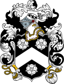 English or Welsh Coat of Arms for Lower (Cornwall)