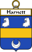Irish Badge for Harnett or Hartnett