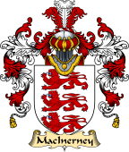 Irish Family Coat of Arms (v.25) MacInerney
