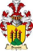 v.23 Coat of Family Arms from Germany for Brandt