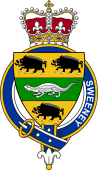 Families of Britain Coat of Arms Badge for: Sweeney or MacSweeney (Ireland)