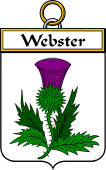 Irish Badge for Webster
