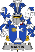 Irish Coat of Arms for Martin
