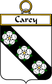 Irish Badge for Carey or Cary