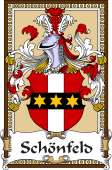 German Coat of Arms Wappen Bookplate  for Schönfeld