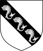 English Family Shield for Rolt
