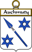 Irish Badge for Auchmuty
