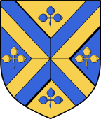 Irish Family Shield for Brogan or O'Brogan