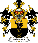 German Wappen Coat of Arms (v.25) Salzmann