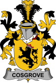 Irish Coat of Arms for Cosgrove or O'Cosgrave