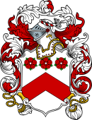 English or Welsh Coat of Arms for Hayles (Ref Berry)