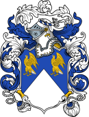 English or Welsh Coat of Arms for Stephens