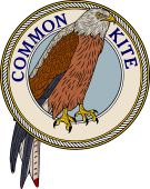 Birds of Prey Clipart image: The Common Kite-M