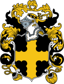 English or Welsh Coat of Arms for Peyton