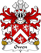 Welsh Coat of Arms for Owen (of Caer-Fryn, Anglesey)