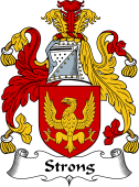 English Coat of Arms for Strong