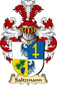 v.23 Coat of Family Arms from Germany for Saltzmann