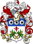 English or Welsh Coat of Arms for Foulks (Ref Berry)