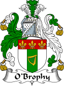 Irish Coat of Arms for O'Brophy