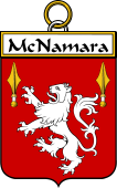 Irish Badge for McNamara