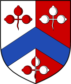 English Family Shield for Pike
