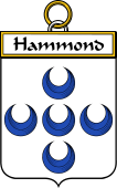 Irish Badge for Hammond