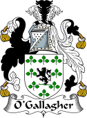 Irish Coat of Arms for O'Gallagher or Goligher