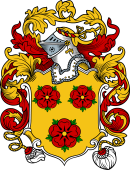 English or Welsh Coat of Arms for Peters