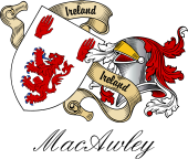 Sept (Clan) Coat of Arms from Ireland for MacAwley