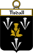 Irish Badge for Tisdall or Tisdale