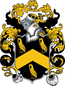 English or Welsh Coat of Arms for Meade