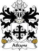 Welsh Coat of Arms for Atkyns (of Cardigan)
