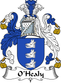 Irish Coat of Arms for O'Healy or Hely