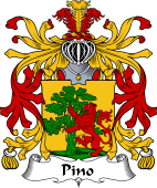 Italian Coat of Arms for Pino