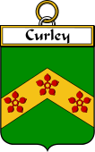 Irish Badge for Curley or McCurley