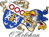 Sept (Clan) Coat of Arms from Ireland for O'Holohan