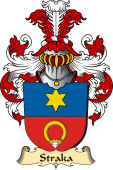 v.23 Coat of Family Arms from Germany for Straka