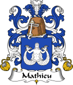 Coat of Arms from France for Mathieu I