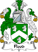 Irish Coat of Arms for Flood