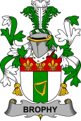 Irish Coat of Arms for Brophy or O'Brophy