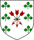 Scottish Family Shield for Littlejohn