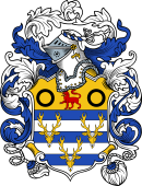 English or Welsh Coat of Arms for Woodward