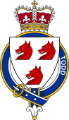 Families of Britain Coat of Arms Badge for: Todd (England)