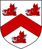 Scottish Family Shield for Shouster or Shuster